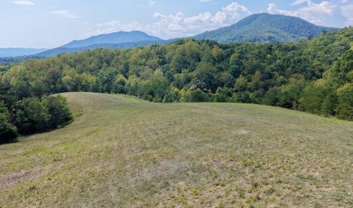 Photo #26 of 576 Alpine Rd, Buchanan, VA 86.4 acres