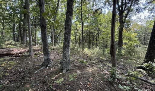 Photo #41 of 576 Alpine Rd, Buchanan, VA 86.4 acres