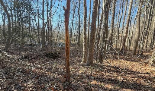 Photo #10 of 1012 S Halifax Rd, Rocky Mount, NC 20.0 acres