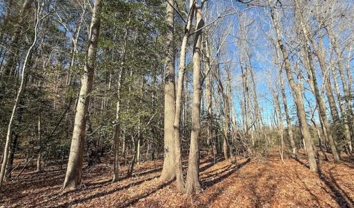Photo #14 of 1012 S Halifax Rd, Rocky Mount, NC 20.0 acres