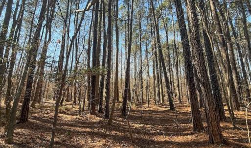 Photo #16 of 1012 S Halifax Rd, Rocky Mount, NC 20.0 acres