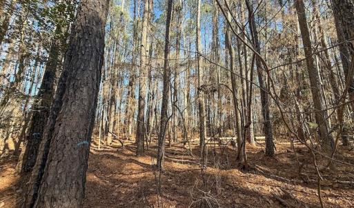 Photo #17 of 1012 S Halifax Rd, Rocky Mount, NC 20.0 acres
