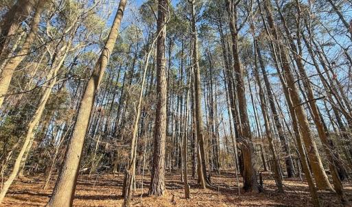 Photo #2 of 1012 S Halifax Rd, Rocky Mount, NC 20.0 acres