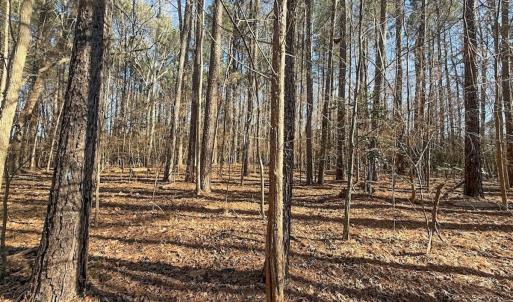 Photo #20 of 1012 S Halifax Rd, Rocky Mount, NC 20.0 acres