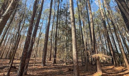 Photo #21 of 1012 S Halifax Rd, Rocky Mount, NC 20.0 acres