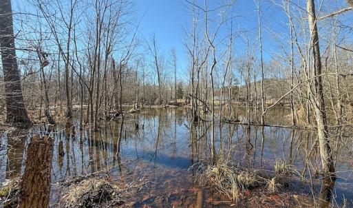Photo #24 of 1012 S Halifax Rd, Rocky Mount, NC 20.0 acres