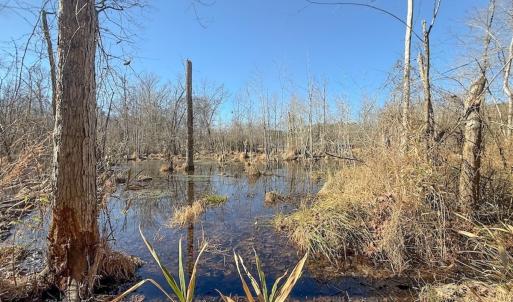 Photo #26 of 1012 S Halifax Rd, Rocky Mount, NC 20.0 acres