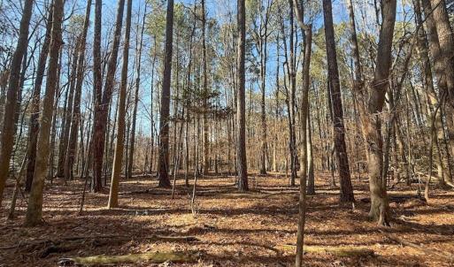 Photo #27 of 1012 S Halifax Rd, Rocky Mount, NC 20.0 acres