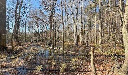 Photo #28 of 1012 S Halifax Rd, Rocky Mount, NC 20.0 acres
