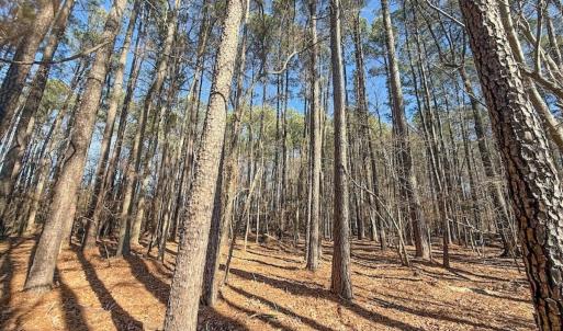 Photo #29 of 1012 S Halifax Rd, Rocky Mount, NC 20.0 acres
