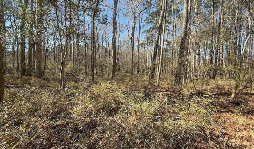 Photo #31 of 1012 S Halifax Rd, Rocky Mount, NC 20.0 acres