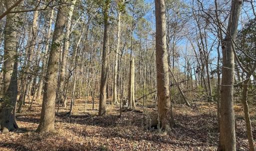 Photo #32 of 1012 S Halifax Rd, Rocky Mount, NC 20.0 acres