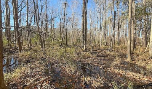 Photo #33 of 1012 S Halifax Rd, Rocky Mount, NC 20.0 acres
