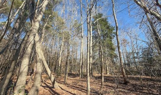 Photo #34 of 1012 S Halifax Rd, Rocky Mount, NC 20.0 acres