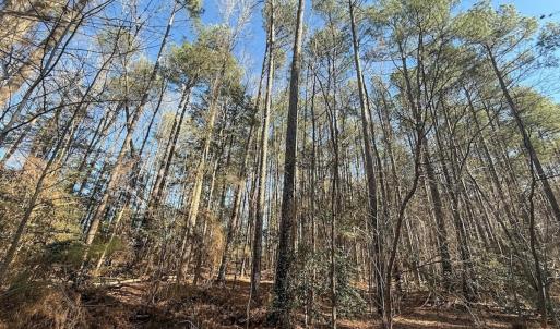 Photo #35 of 1012 S Halifax Rd, Rocky Mount, NC 20.0 acres
