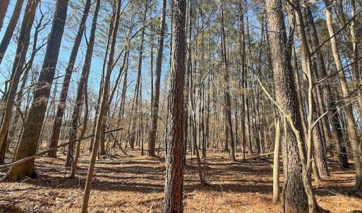 Photo #7 of 1012 S Halifax Rd, Rocky Mount, NC 20.0 acres