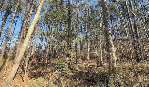 Photo #9 of 1012 S Halifax Rd, Rocky Mount, NC 20.0 acres