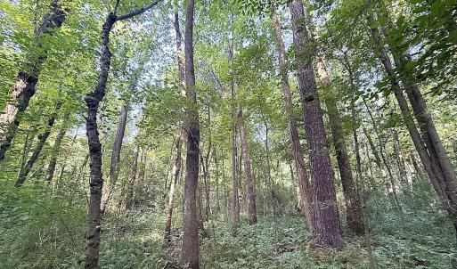 Photo #19 of Off of Clay Street, Franklin, VA 6.7 acres