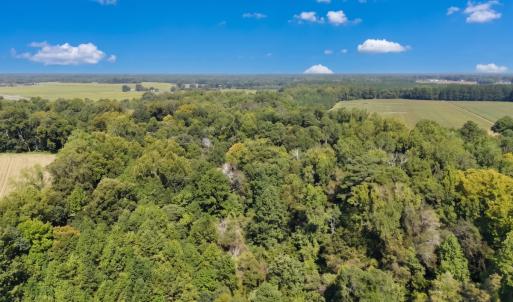 Photo #21 of Off of Clay Street, Franklin, VA 6.7 acres