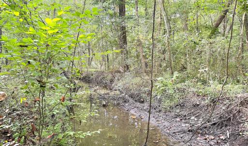 Photo #24 of Off of Clay Street, Franklin, VA 6.7 acres