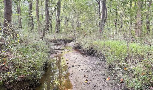 Photo #25 of Off of Clay Street, Franklin, VA 6.7 acres