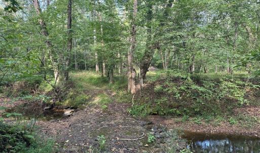 Photo #13 of  799 Sunnyside Rd , Arvonia, VA 140.0 acres