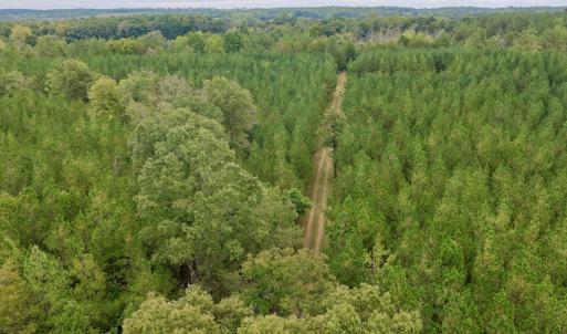 Photo #18 of  799 Sunnyside Rd , Arvonia, VA 140.0 acres