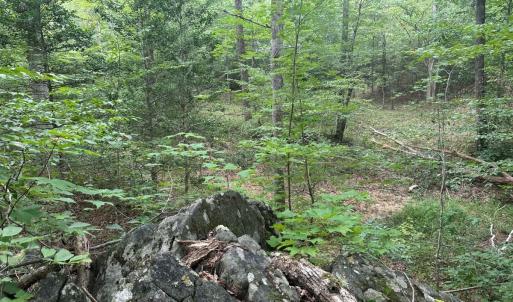 Photo #19 of  799 Sunnyside Rd , Arvonia, VA 140.0 acres
