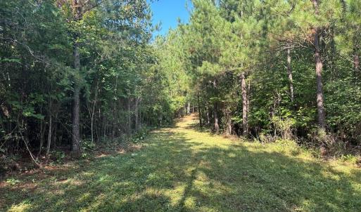 Photo #20 of  799 Sunnyside Rd , Arvonia, VA 140.0 acres