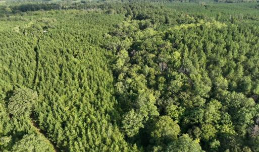 Photo #23 of  799 Sunnyside Rd , Arvonia, VA 140.0 acres