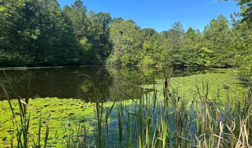 Photo #25 of  799 Sunnyside Rd , Arvonia, VA 140.0 acres