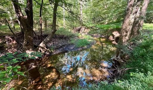 Photo #26 of  799 Sunnyside Rd , Arvonia, VA 140.0 acres