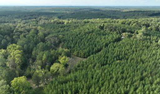 Photo #30 of  799 Sunnyside Rd , Arvonia, VA 140.0 acres