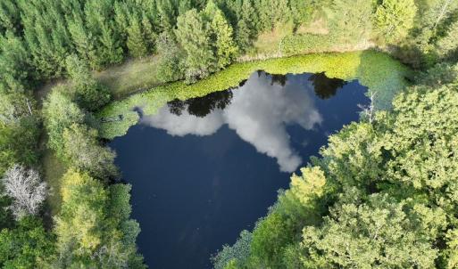 Photo #7 of  799 Sunnyside Rd , Arvonia, VA 140.0 acres