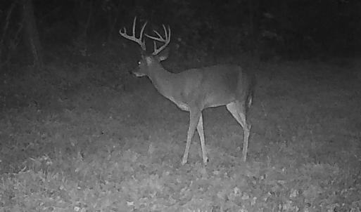 Photo #9 of  799 Sunnyside Rd , Arvonia, VA 140.0 acres