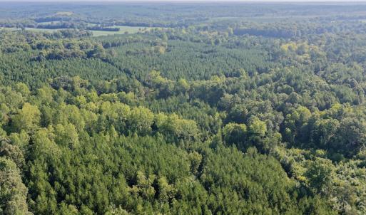 Photo #34 of  799 Sunnyside Rd , Arvonia, VA 140.0 acres