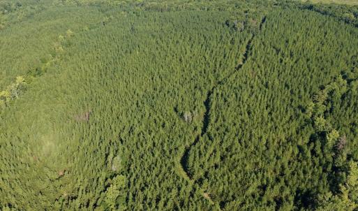 Photo #36 of  799 Sunnyside Rd , Arvonia, VA 140.0 acres