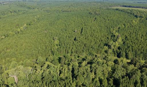 Photo #37 of  799 Sunnyside Rd , Arvonia, VA 140.0 acres