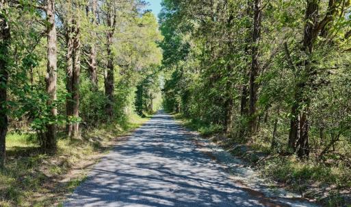 Photo #38 of  799 Sunnyside Rd , Arvonia, VA 140.0 acres