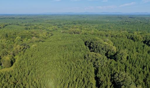 Photo #39 of  799 Sunnyside Rd , Arvonia, VA 140.0 acres