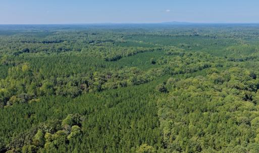 Photo #40 of  799 Sunnyside Rd , Arvonia, VA 140.0 acres