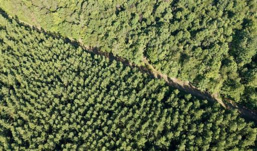 Photo #41 of  799 Sunnyside Rd , Arvonia, VA 140.0 acres