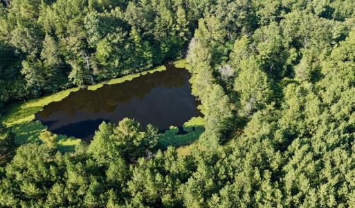 Photo #42 of  799 Sunnyside Rd , Arvonia, VA 140.0 acres