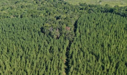 Photo #44 of  799 Sunnyside Rd , Arvonia, VA 140.0 acres