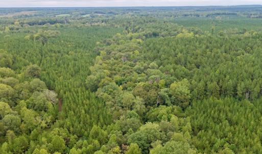 Photo #47 of  799 Sunnyside Rd , Arvonia, VA 140.0 acres