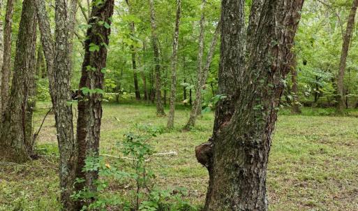 Photo #48 of  799 Sunnyside Rd , Arvonia, VA 140.0 acres