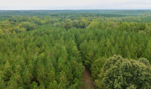 Photo #49 of  799 Sunnyside Rd , Arvonia, VA 140.0 acres