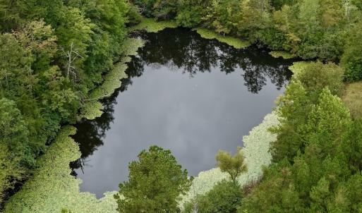 Photo #51 of  799 Sunnyside Rd , Arvonia, VA 140.0 acres