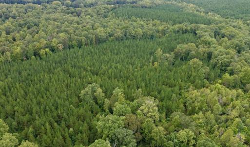 Photo #52 of  799 Sunnyside Rd , Arvonia, VA 140.0 acres