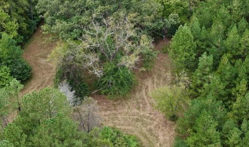 Photo #53 of  799 Sunnyside Rd , Arvonia, VA 140.0 acres